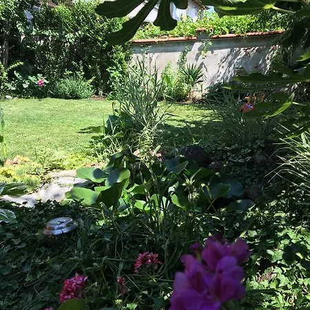 Guest house Zlati